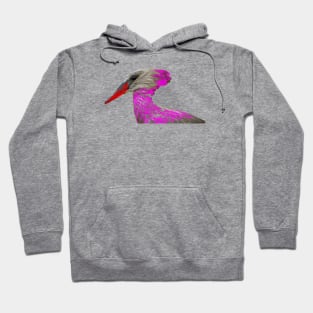 Bird Paradise Hoodie